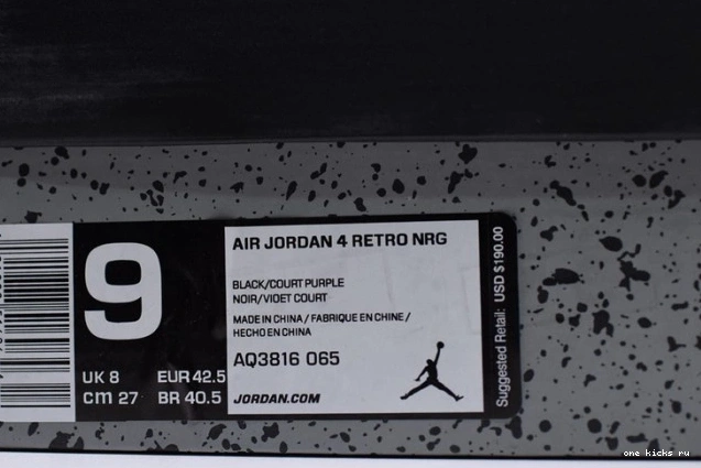 Rep AQ3816-065 Jordan 4 Air NRG Raptors